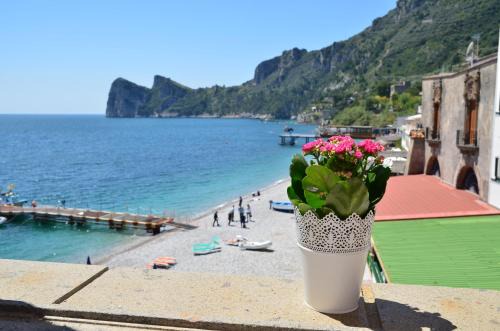 Marina del Cantone Apartamento | Mimì sul Mare