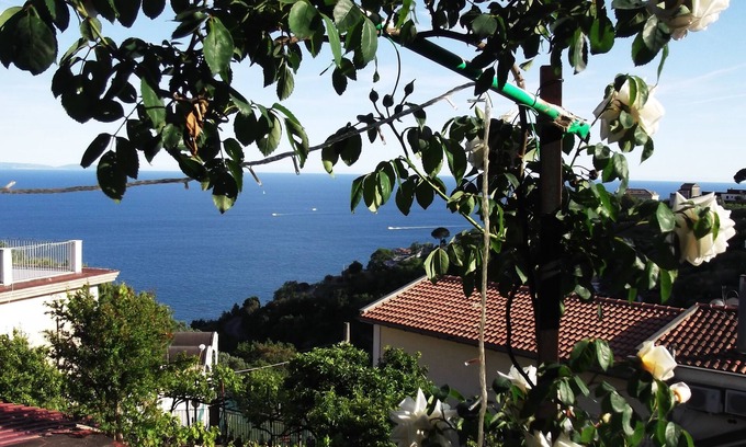 Dragonea Casa | mimosas al comienzo de la costa de Amalfi