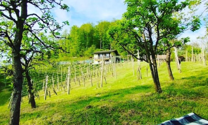 Podcetrtek Casa | Mini hiška v objemu vinograda