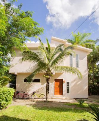 Cozumel Casa | Mini Pini Birdwatching and cenote loft4 you only