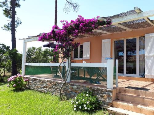 Favone Casa | Mini Villa à 100m de la mer avec prise de recharge élec privative