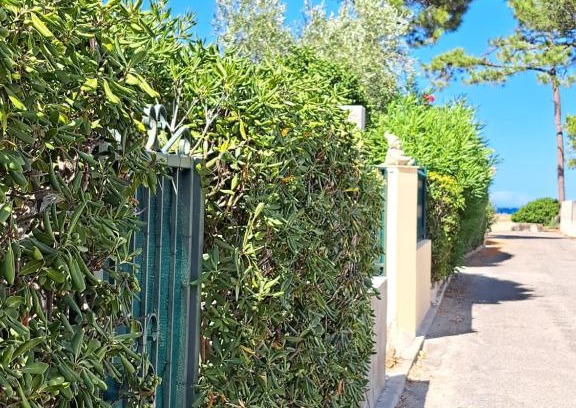 Pineto Casa | Mini villa jardin 50 m plage