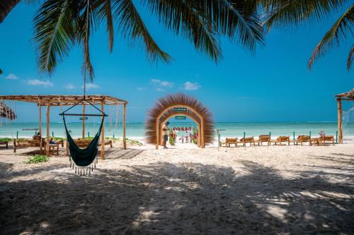 Bwejuu Beach Apartamento | Mintaka Boutique Hotel