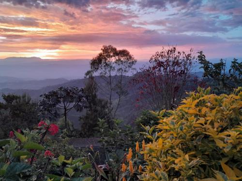 Manizales Cama Y Desayuno | Mirador Finca Morrogacho