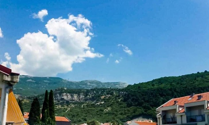 Velji Vinogradi Apartamento | Mirko Apartments Budva