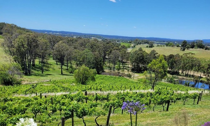 Pokolbin Casa | Mistress Block Vineyard