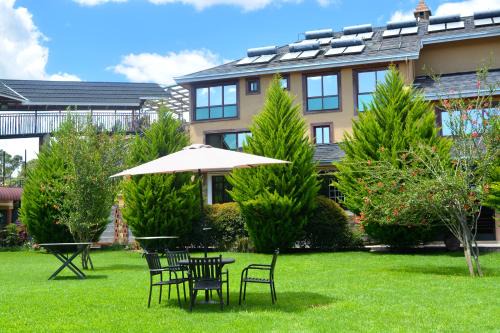Naro Moru Cabina | Misty Mountain Lodge