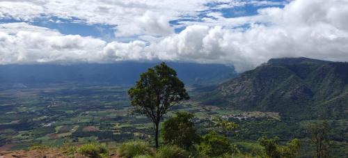 Thekkady Cama Y Desayuno | Misty Views Homestay