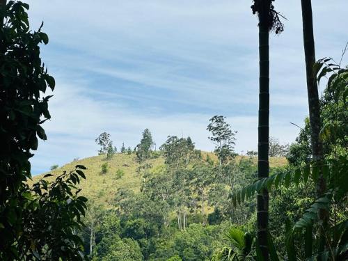 Ella Casa | Mithun Homestay Ella