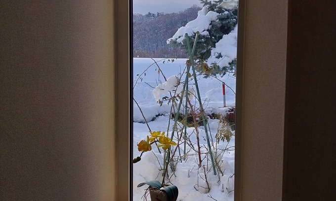 Furano Casa | Miyuki Townhouse