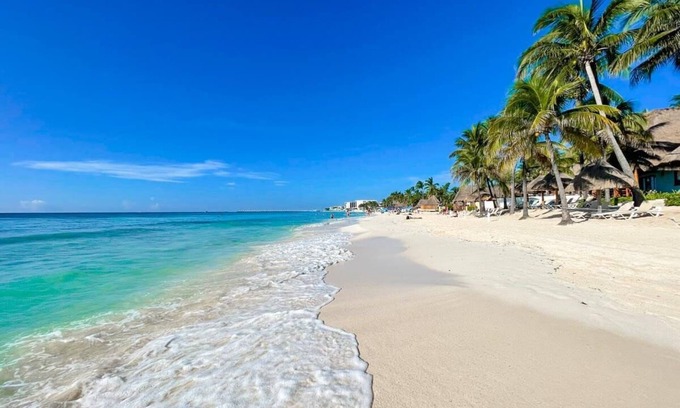 Centro de Playa del Carmen Hotel | MK Beach playa del carmen