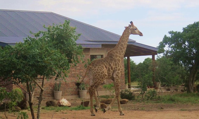 Manzini District Cabina | Mkhiweni 3 Bedroom Villa at Dombeya Wildlife Estate