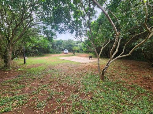 Hluhluwe Otro | Mkumbi Nyala Campsite