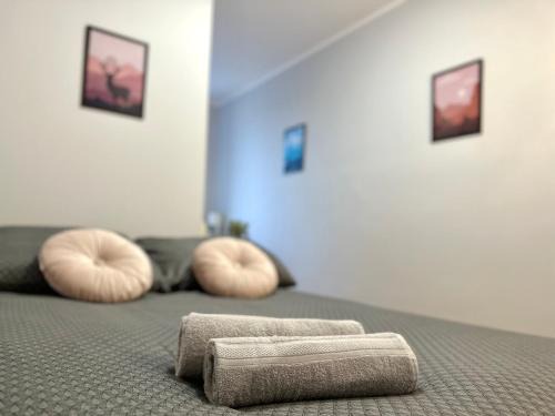 Siedlce Casa | MMRent Stag Room