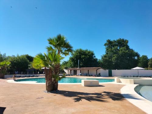 Aureilhan Otro | MOBIL HOME 6 Places - CLIMATISE