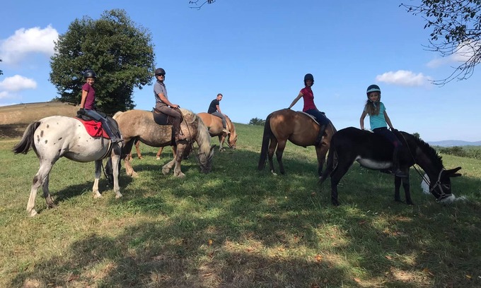 Tourtouse Casa | Mobile Home au Ranch du Bonheur, Évasion à la Ferme