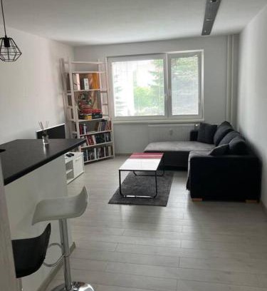Liptovsky Mikulas Apartamento | Moderný apartmán Podbreziny