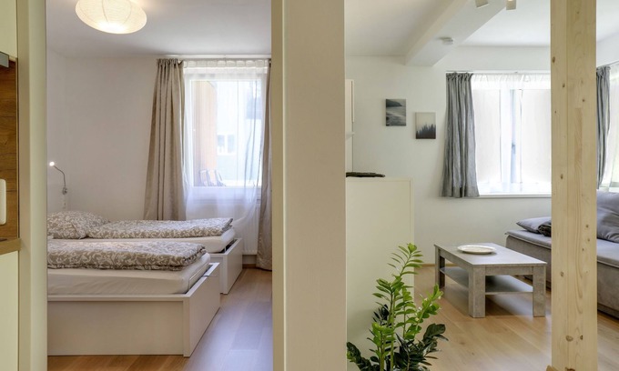 Muhlbachl Apartamento | Moderno apartamento "Habicht" con Wi-Fi, jardín y terraza