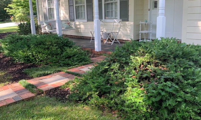 Wade Hampton Casa | Modern & Bright 3-bedroom house in Greenville between airport & downtown w/ WiFi