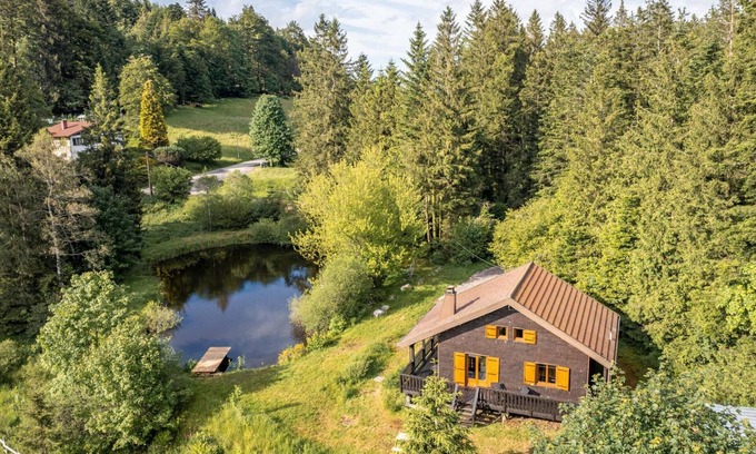 Sapois Cabaña | Chalet moderno con chimenea y mascotas permitidas cerca de Gérardmer