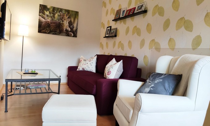 Hohegeiß Apartamento | moderno, cómodo estudio - Sauna y tenis de mesa en la casa, WiFi gratuito!