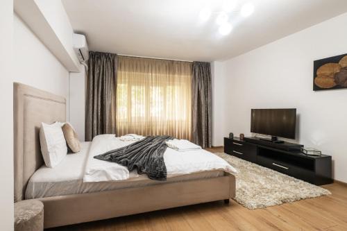 Aviatiei Apartamento | Modern & Cozy Studio - Near Herastrau Park