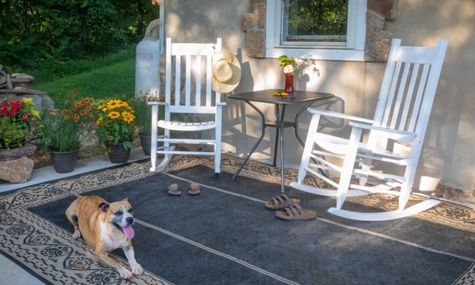 Clifford Apartamento | Modern , farmhouse basement, suite, queen bed, efficiency , dogs welcome.