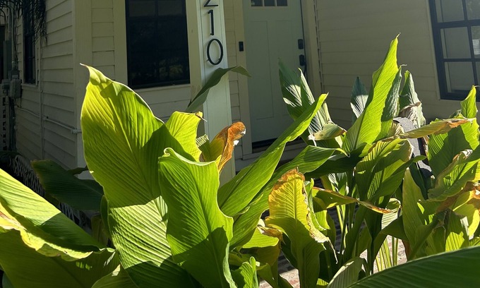 Knights Community Club Otro | Modern Farmhouse
