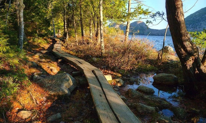 Seal Harbor Apartamento | Blue Lobster - ¡Reserva ahora para los fines de semana de otoño Acadia!