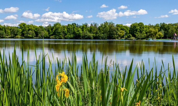 Bad Waldsee Apartamento | Apartamento 'Am Stadtsee' con vistas al lago, jardín privado y Wi-Fi