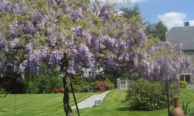 Marche-en-Famenne Casa | Moderna Casa de vacaciones en Marche-en-Famenne con vistas al jardín