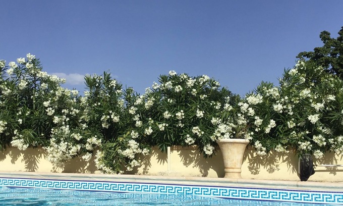 Pennapiedimonte Villa | Recién Terminado Moderno Villa italiana con piscina privada