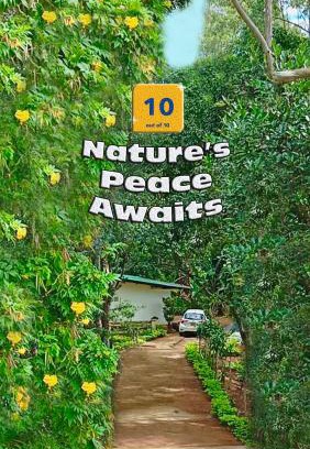 Bandarawela Casa | Modern Nature Lodge - Private Holiday Home - Ella