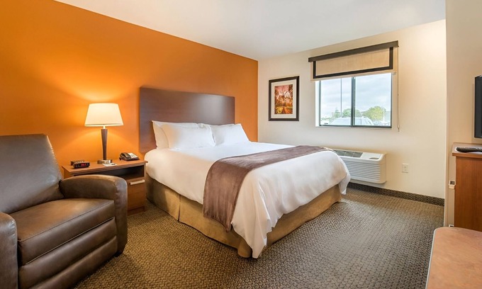 Wixom Hotel | Modern Pet-Friendly Stay Perfect for Families on a Trip Near Twelve Oaks Mall