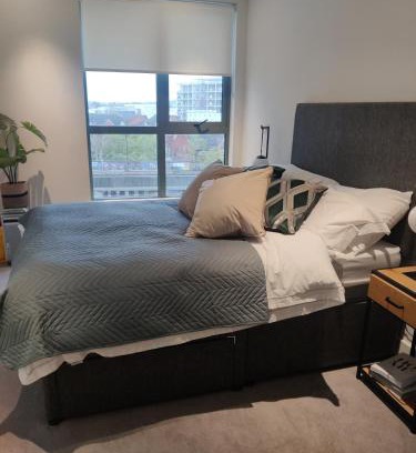 College Park and Old Oak Casa | Modern room