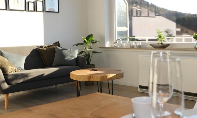 Niedersfeld Apartamento | Modern vacation apartment (50 sqm) for up to 3 people with south-facing balcony and view of the Hillebachsee (mountain view)