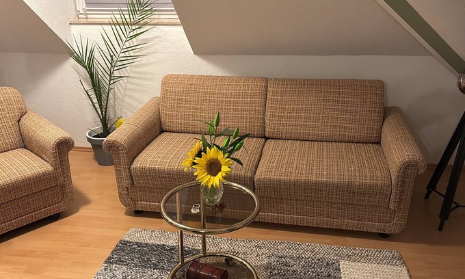 Pulsnitz Apartamento | ModernDG apartment with home office