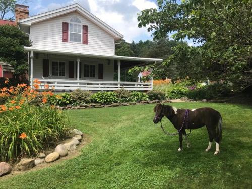 Perrysville Casa | Mohican Farmhouse, Pond, and Animals
