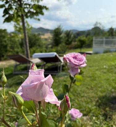 Pavullo nel Frignano Apartamento | Molino Galeotto Riserva del Frignano