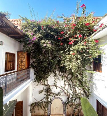 Riad Zitoun Jdid Casa | Momo House- Riad Momo