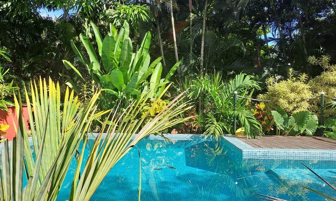 Tamarindo Apartamento | Mono confortable studio with separated kitchen and bedroom.