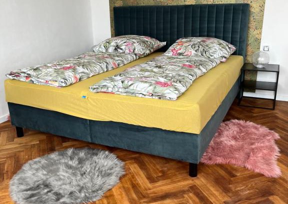 Kolin 2 Apartamento | Monstera I