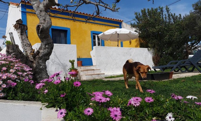 Faro Casa | Monte da ti Luzia