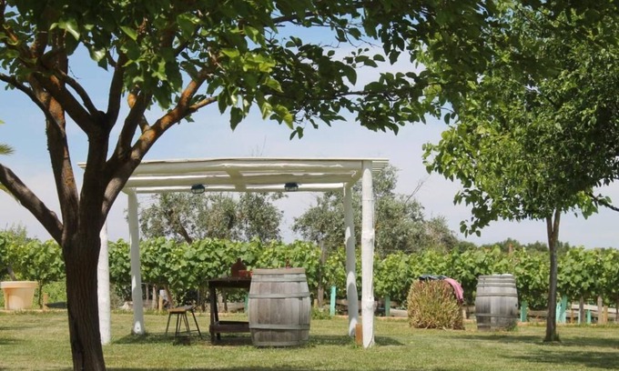 Vimieiro Cama Y Desayuno | Monte das Aranhas Wine Luxury