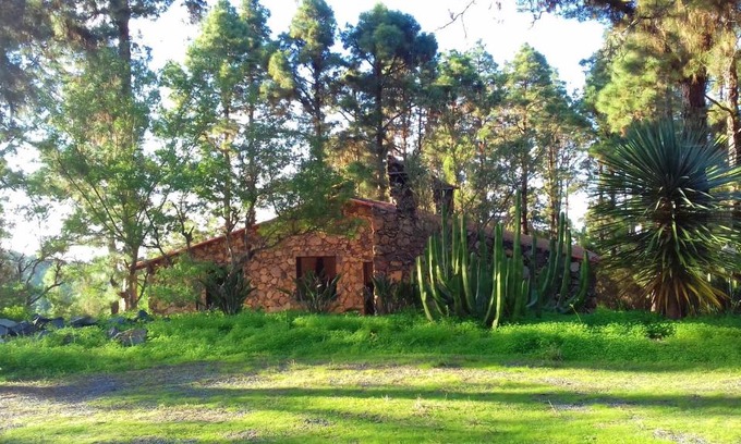 La Guancha Casa | Monte frio de Tenerife