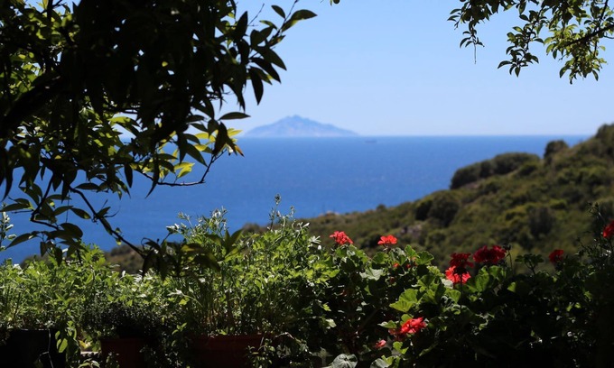 Campo nell'Elba Casa | Montecristo two-room apartment. Terrace