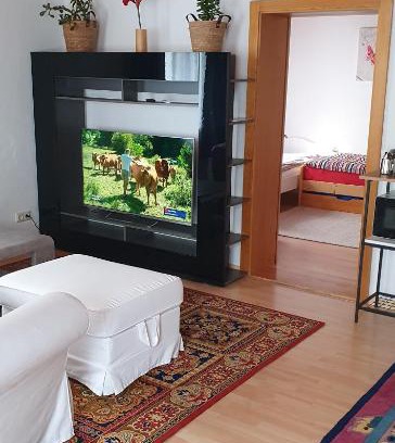 Viechtach Apartamento | Monteurezimmer/Ferienwohnung Vogl