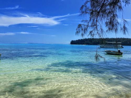 Moorea-Maiao Casa | MOOREA - Local Spirit 1