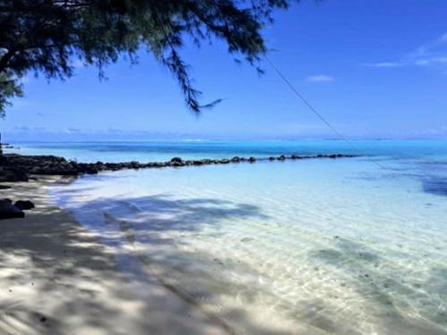Moorea-Maiao Casa | MOOREA - Local Spirit 6
