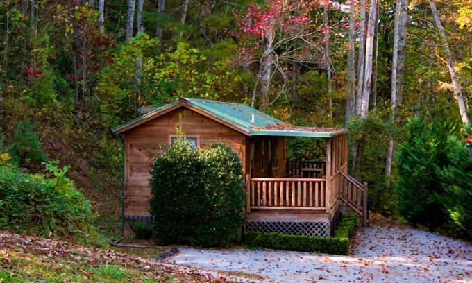 Franklin Cabina | Alquiler de cabañas Big Bear 2 BD / 1 cabaña BA Moose - Cerca de la ciudad, tranquilo, con vistas al bosque